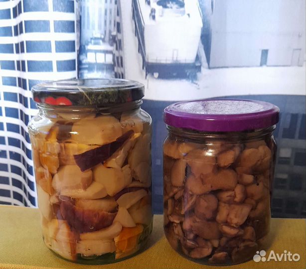 Белые грибы