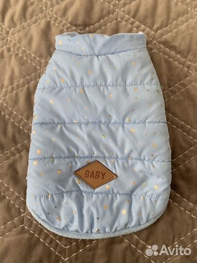 Одежда для собак