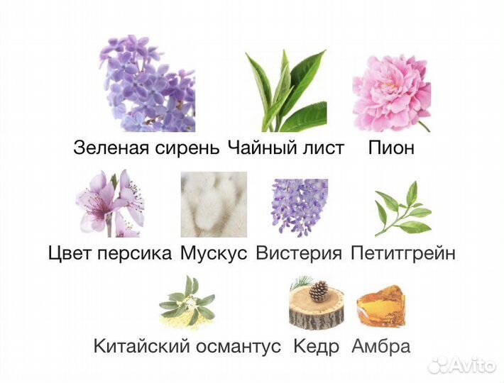 Парфюм Eclat d’Arpège Lanvin