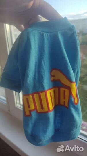 Одежда для собак пакетом