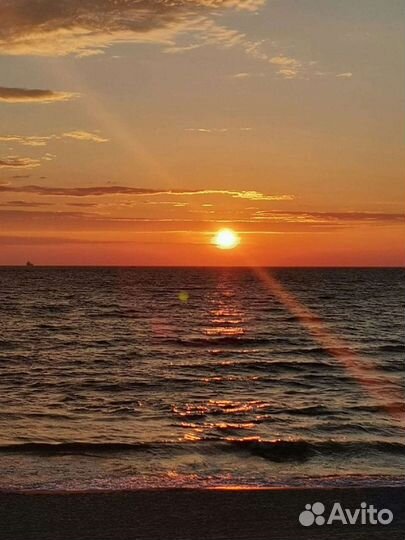 Индивидуальные экскурсии на куршскую косу