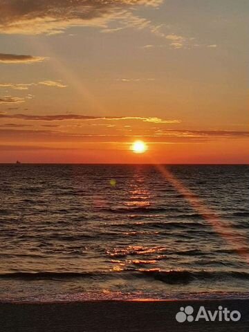 Индивидуальные экскурсии на куршскую косу