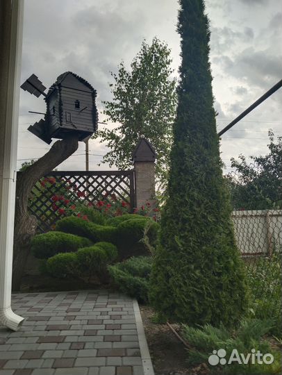 Декоративная стрижка растений, живой изгороди