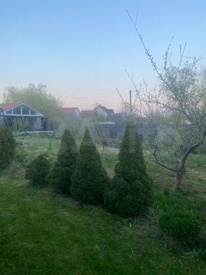 Участок 6 сот. (СНТ, ДНП)