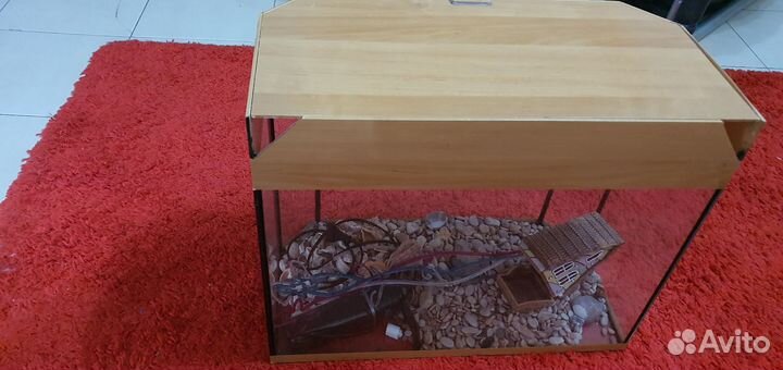 Аквариум понорамный 60 л + фильтр