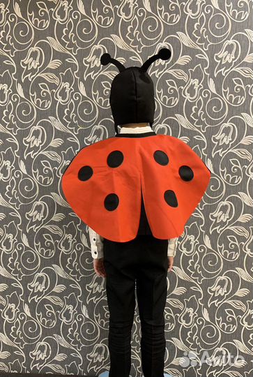 Костюм божьей коровки