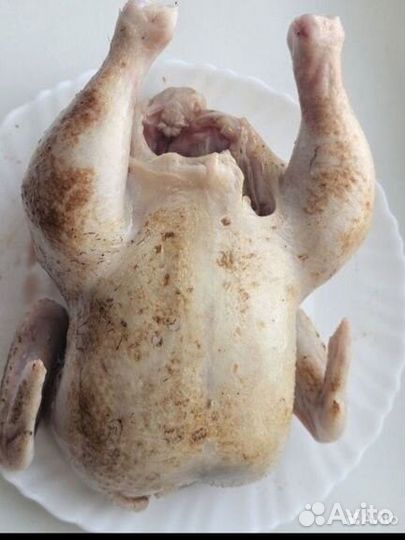 Мясо домашней птицы,бройлерных цыплят