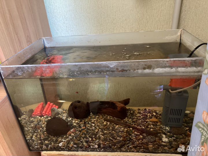 Аквариум 30л