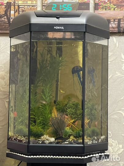 Аквариум с тумбой на 60 литров