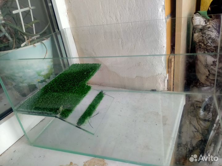 Террариум для черепахи