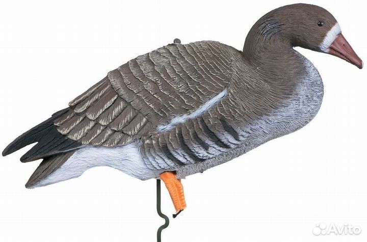 Чучела белолобого гуся Sport Plast DLX 940(12 шт)