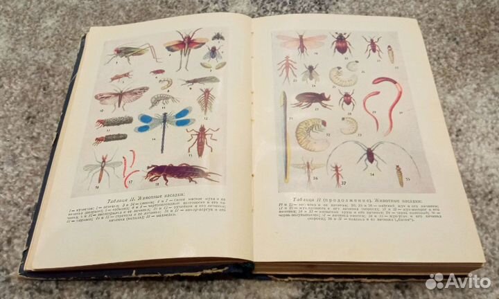 Спортивная рыбная ловля