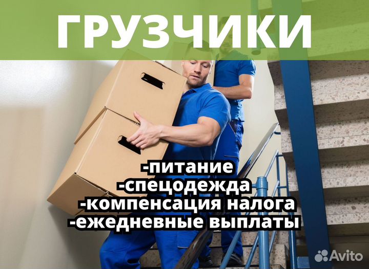 Грузчик экспедитор.sd039