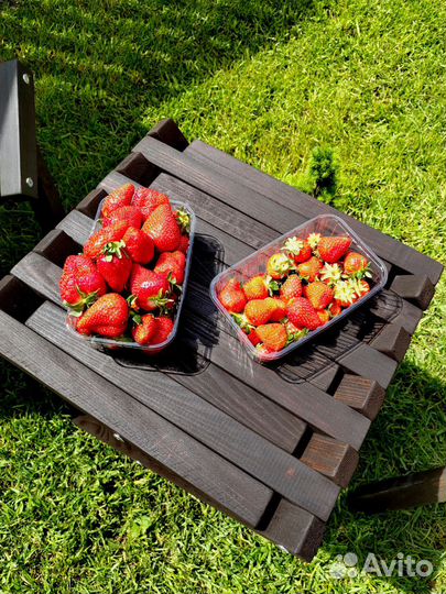 Набор садовой мебели из дерева