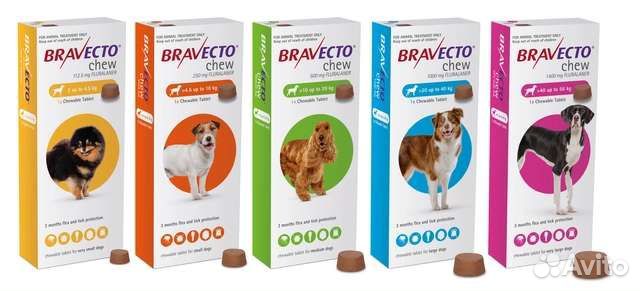 Услуга по обработке собак