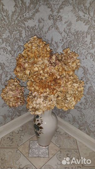 Букет из сухоцветов гортензии