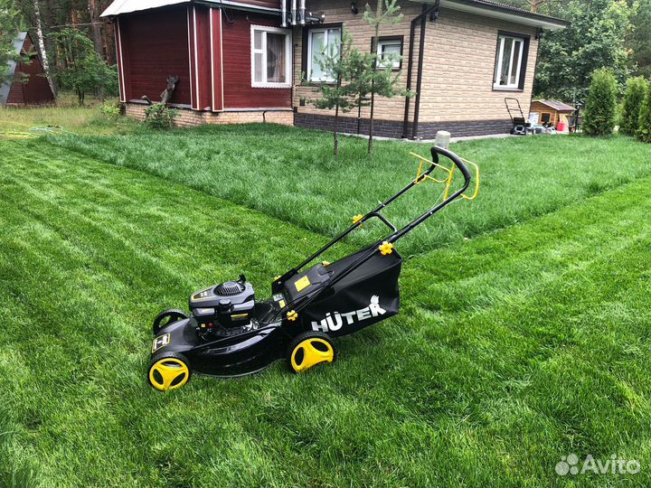 Рулонный газон с укладкой