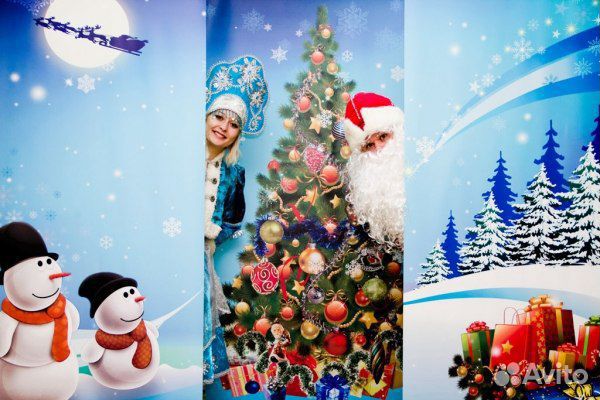 Дед мороз в детский сад, школу, на дом