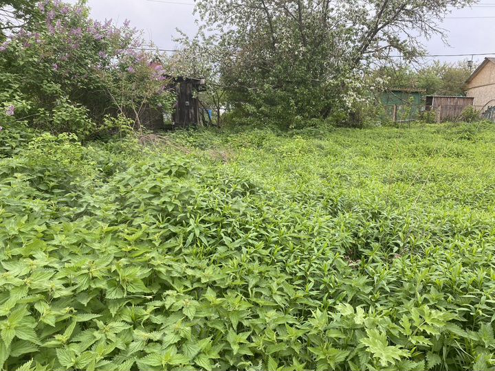 Участок 4 сот. (СНТ, ДНП)