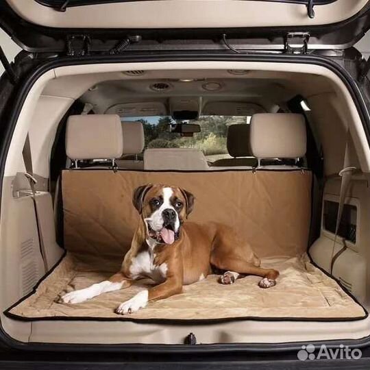 Зоотакси / Перевозка животных круглосуточно