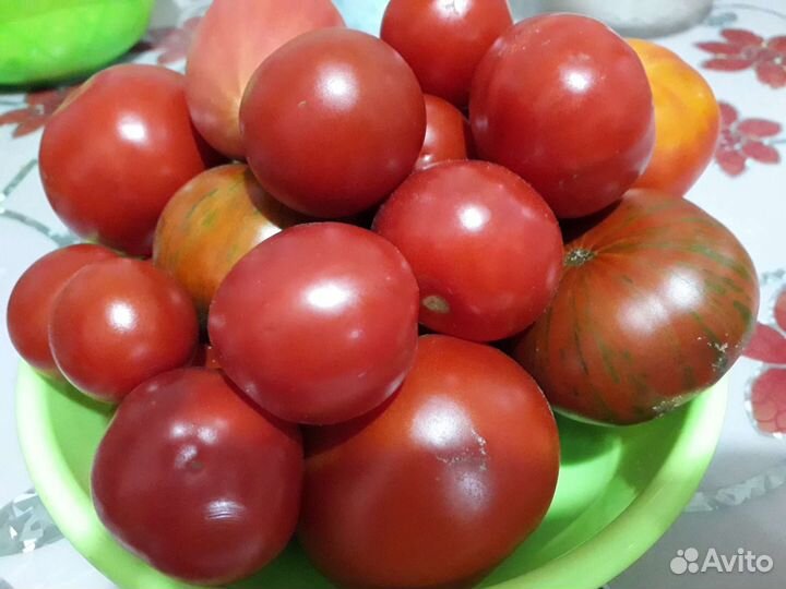 Помидоры свежие домашние