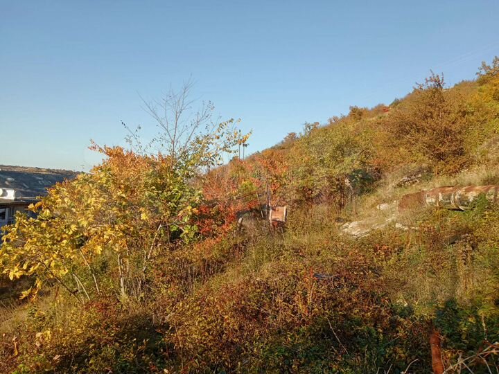 Участок 4 сот. (СНТ, ДНП)