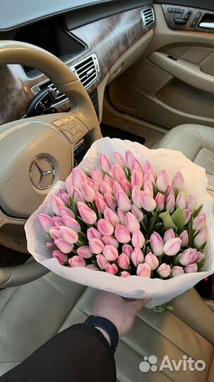 Букет из 101 тюльпана (розовый)