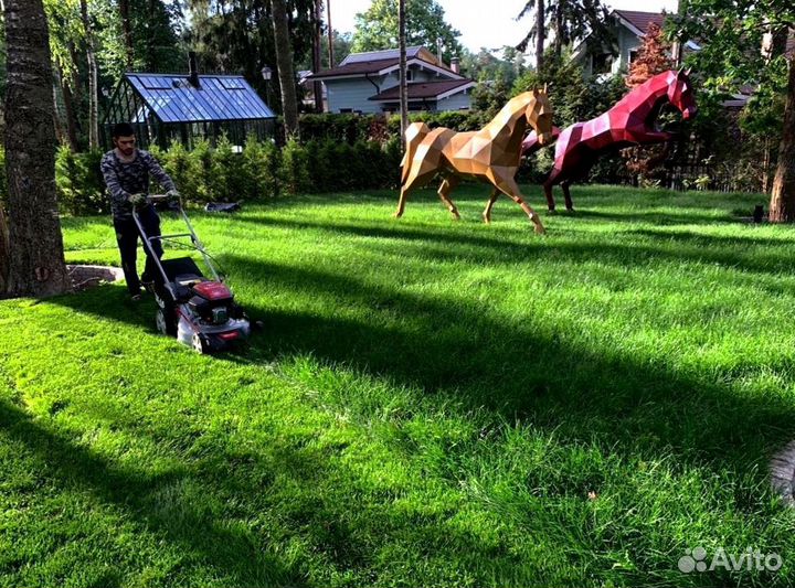 Рулонный газон от производителя