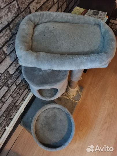 Когтеточка