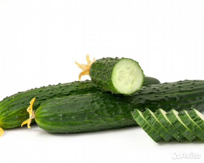 Семена огурца 