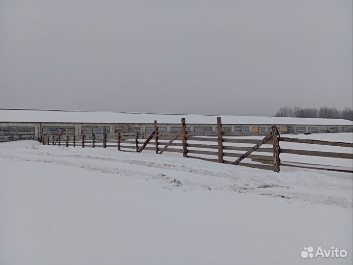Ферма и земли под фермерское хозяйство