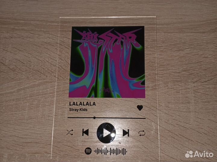 Пластинка stray kids