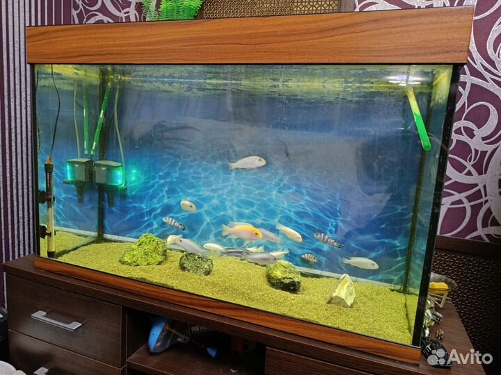 Продается аквариум