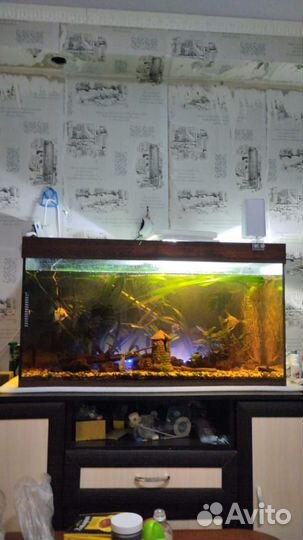 Аквариум