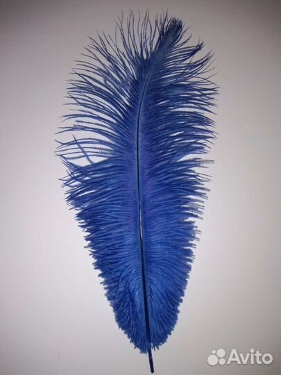 Перо + брошки для украшения, аксессуары