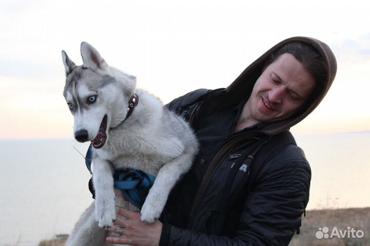 Копирайтер, SMM, интернет-маркетолог