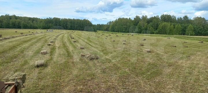 Участок 8,72 га (СНТ, ДНП)