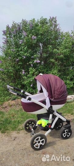 Коляска 2 в 1 adamex