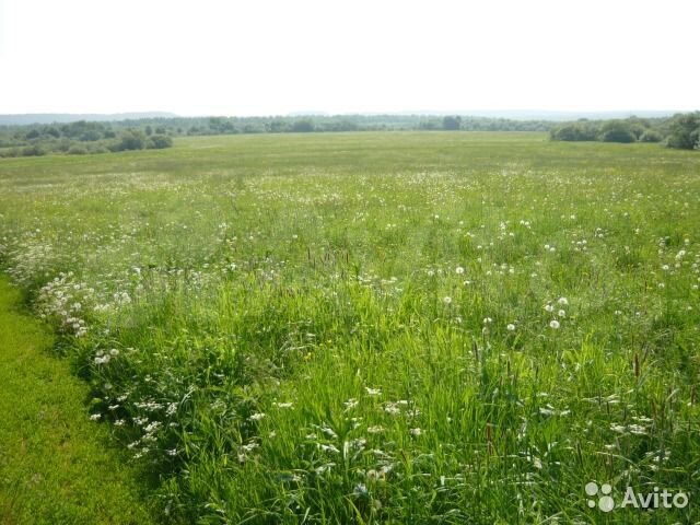 Участок 6 га (СНТ, ДНП)