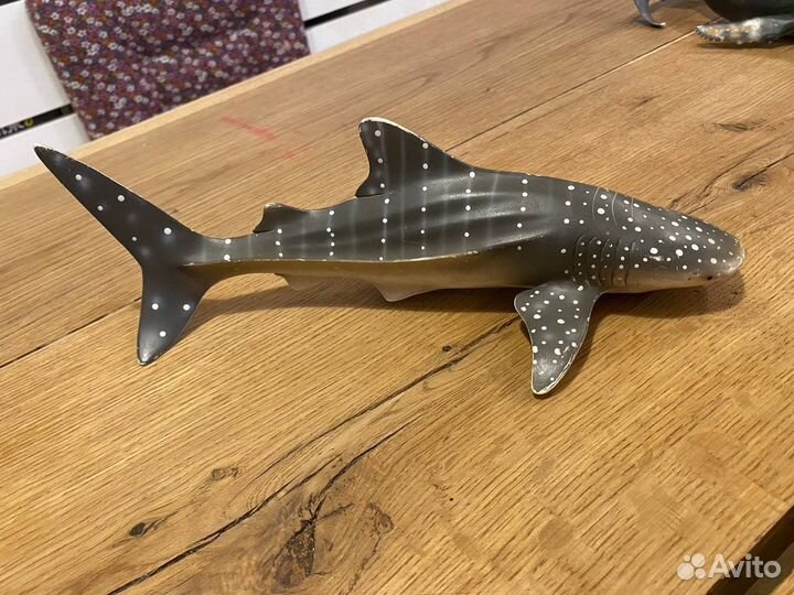 Большая Косатка и Кашалот большой