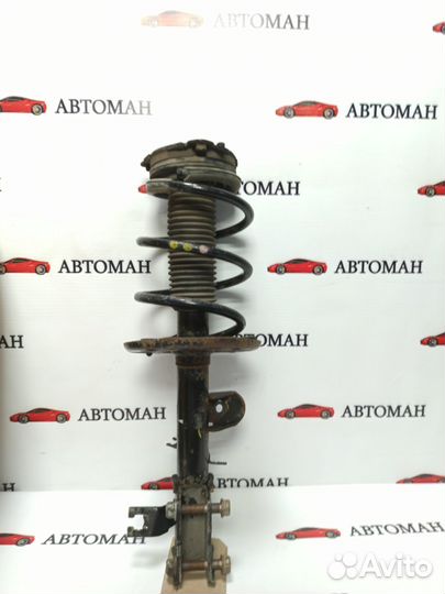 Стойка передняя левая Nissan Murano 3 Z52