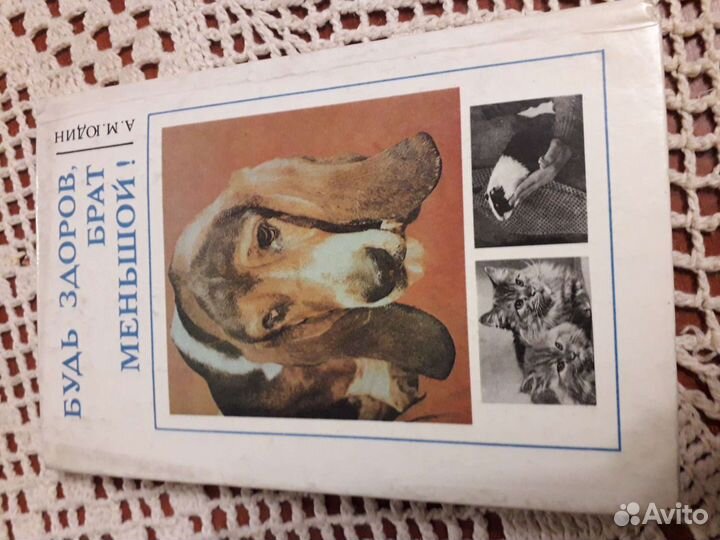 Юдин Будь здоров, брат меньшой