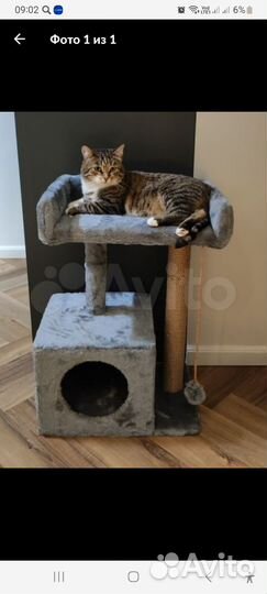 Домик для кошки,когтеточка новый