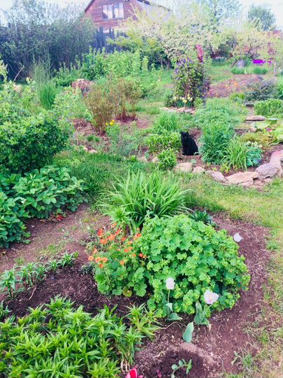 Дача 60 м² на участке 15 сот.