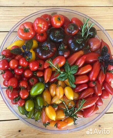 Продаю семена коллекционных томатов и перцев