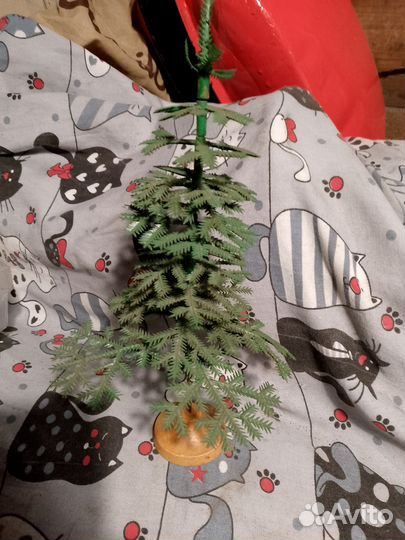 Ель малютка