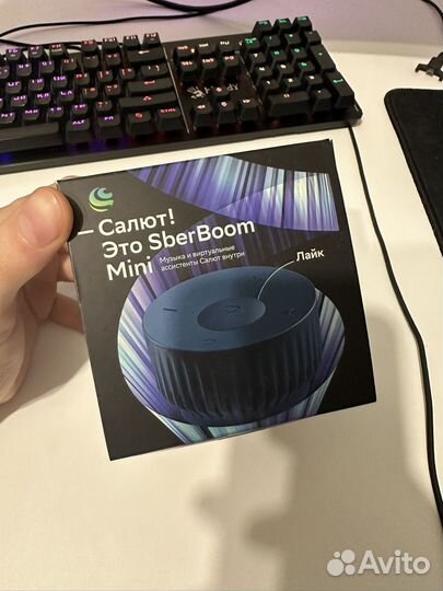 Колонка сбербум мини