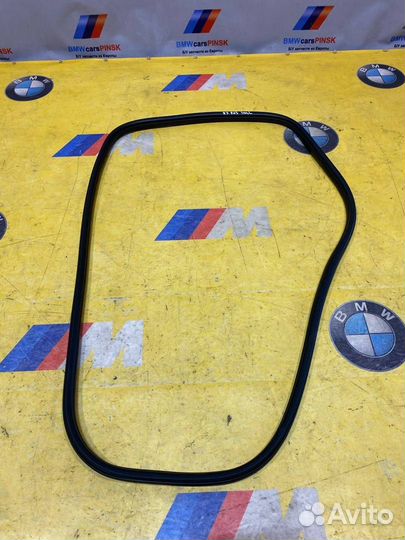 Уплотнитель дверного проема задний левый BMW X3