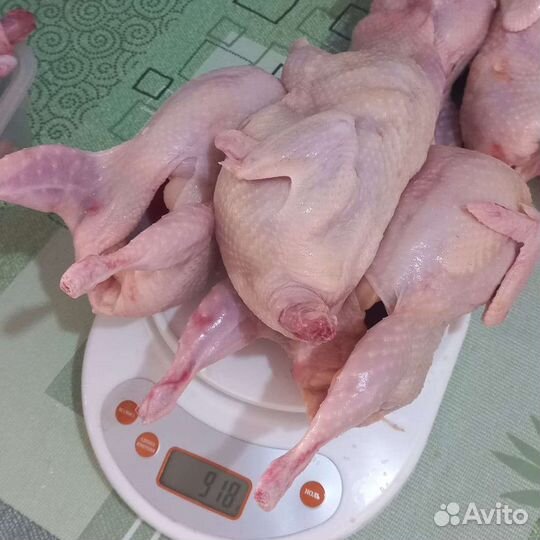 Мясо перепелов