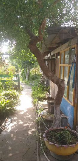 Дом 87,7 м² на участке 10 сот.